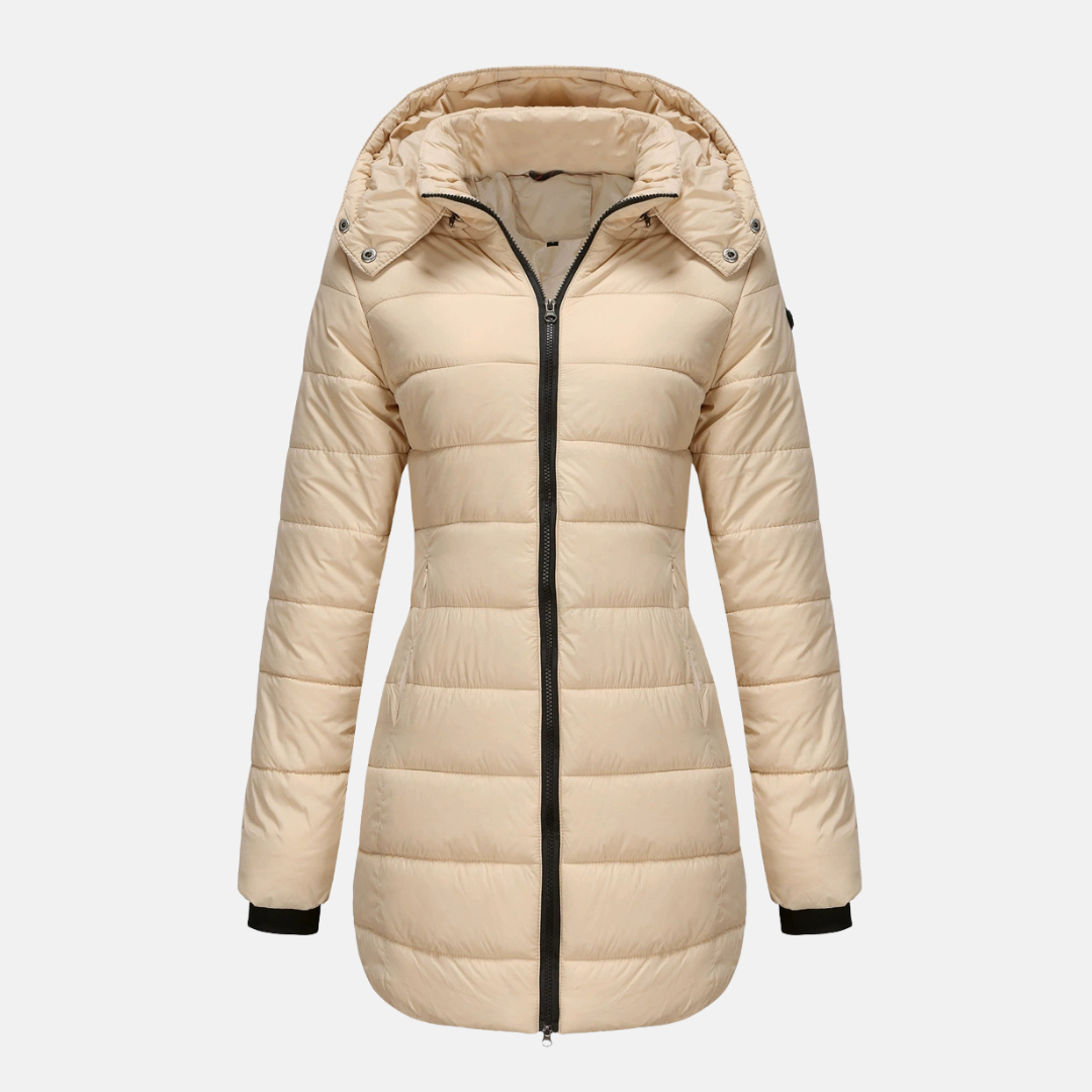 Women’s Puffer Jacket – Insulated Padding – Detachable Hood – Mid-Length Fit – Ribbed Cuffs