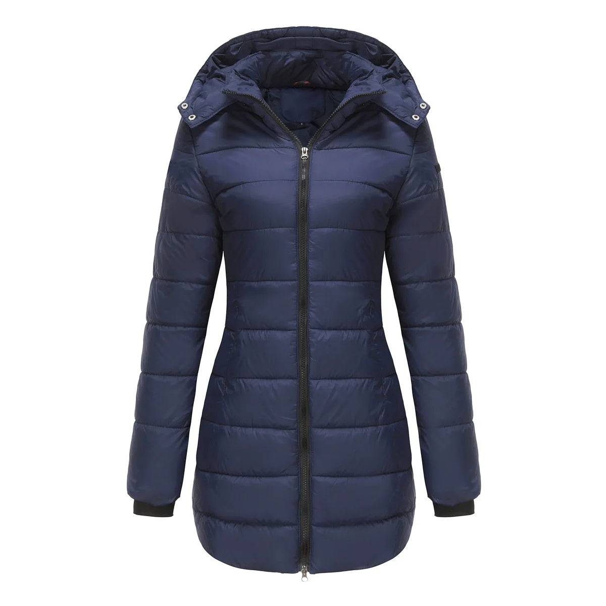 Women’s Puffer Jacket – Insulated Padding – Detachable Hood – Mid-Length Fit – Ribbed Cuffs