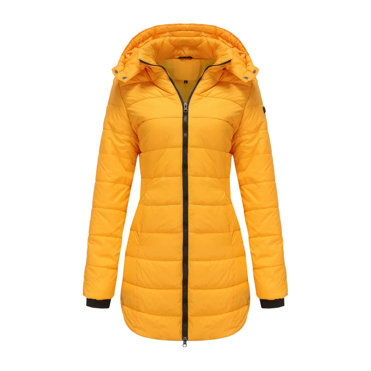 Women’s Puffer Jacket – Insulated Padding – Detachable Hood – Mid-Length Fit – Ribbed Cuffs
