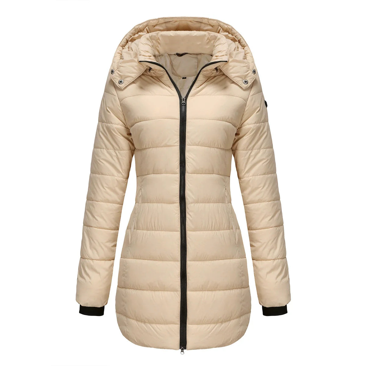 Women’s Puffer Jacket – Insulated Padding – Detachable Hood – Mid-Length Fit – Ribbed Cuffs