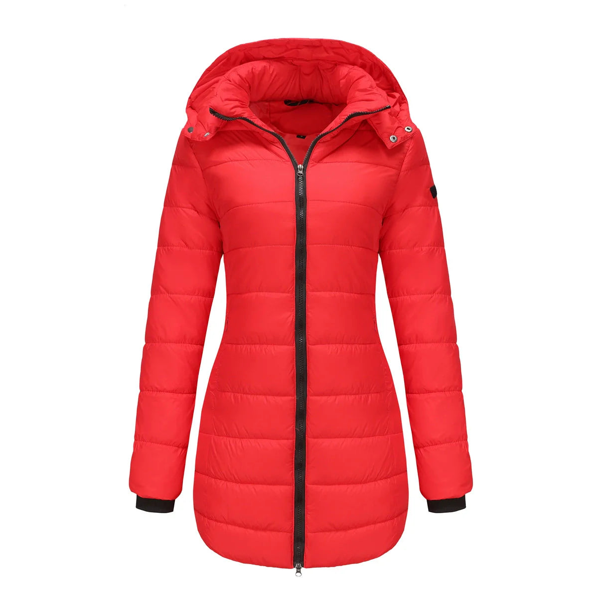 Women’s Puffer Jacket – Insulated Padding – Detachable Hood – Mid-Length Fit – Ribbed Cuffs
