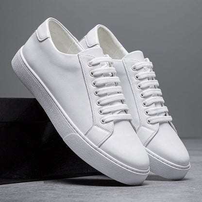 Sebastian Low-Top Sneakers | Lace-Up Burnished Finish Sneakers