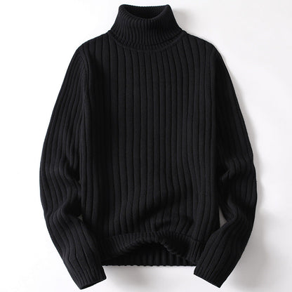Theodore Ribbed Hip-Length Turtleneck Sweater | Solid Regular Fit Sweater