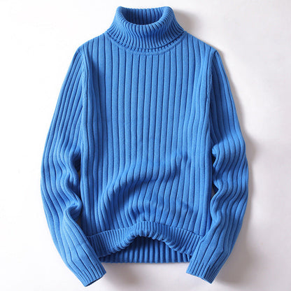 Theodore Ribbed Hip-Length Turtleneck Sweater | Solid Regular Fit Sweater